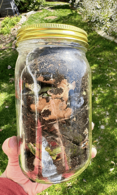 Dirt from the Yard