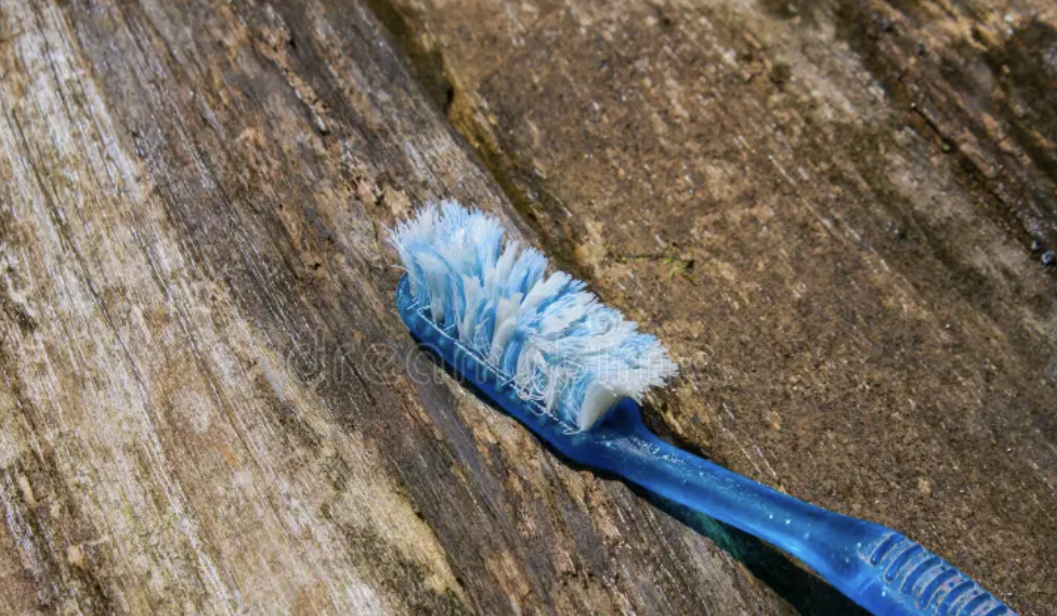 A toothbrush used by (at least one) Harvard student