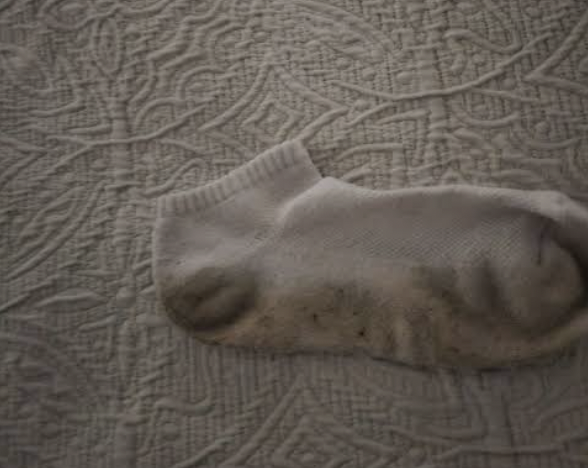 A Harvard student's dirty sock(s)